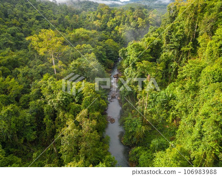 Asian jungle and Khlong Chao waterfall on Koh Kood island. Thailand Asian jungle and Khlong Chao waterfall on Koh Kood island. Thailand 106983988