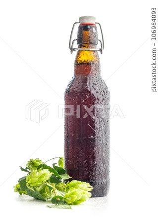 Beer bottle and green hops plant isolated on white background. Beer bottle and green hops plant isolated on white background. 106984093