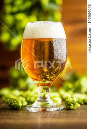 Glass of beer and hops crop on wooden table. 106984098