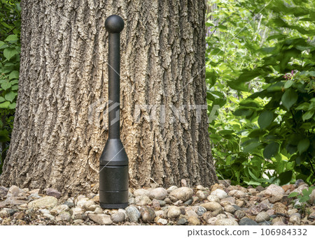 adjustable weight steel club in a backyard against an oak tree, functional fitness concept adjustable weight steel club in a backyard against an oak tree, functional fitness concept 106984332