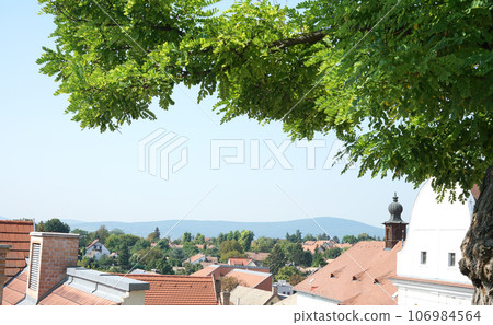 Aerial view of the roofs of Szentendre town in Hungary Aerial view of the roofs of Szentendre town in Hungary 106984564