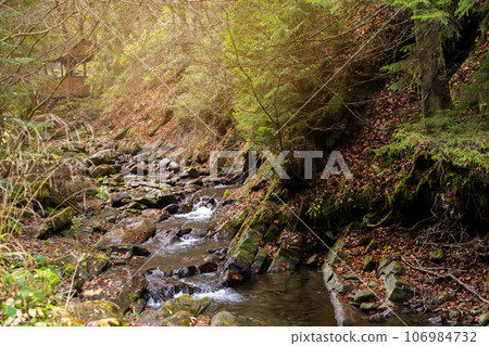 Beautiful autumn landscape in Carpathian Mountains. Mountain river in the forest with stones. Tatariv, Ivano-Frankivsk Oblast. Road to Huk waterfall. Selective focus 106984732