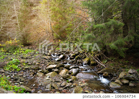 Beautiful autumn landscape in Carpathian Mountains. Mountain river in the forest with stones. Tatariv, Ivano-Frankivsk Oblast. Road to Huk waterfall. Selective focus 106984734