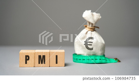 PMI on a blocks concept - Purchasing Managers' Index. Economic indicators derived from monthly surveys of private companies. Business assessments and finance concept. PMI Project Management Institute 106984735