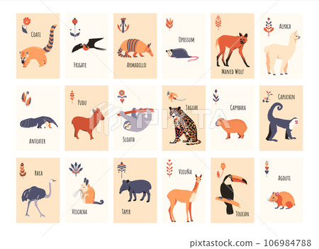 A set of cards with South American animals for childrens games, lotto or memo. Vector illustration. 106984788