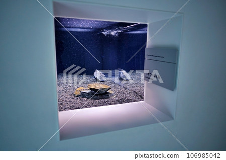 Aquarium “AOAO SAPPORO” inside moyuk SAPPORO 106985042