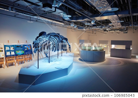 Aquarium “AOAO SAPPORO” inside moyuk SAPPORO 106985043