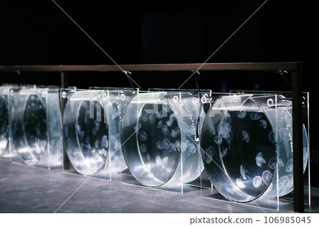 moyuk SAPPORO 內的水族館“AOAO SAPPORO” moyuk SAPPORO 內的水族館“AOAO SAPPORO” 106985045