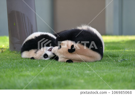 Yuuhama 和吉濱媽媽一起玩 106985068