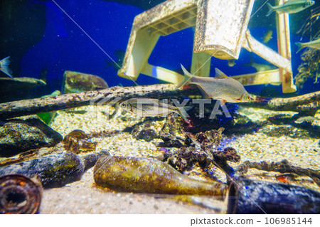 Fish swimming in the water with debris. The pollution of the oceans. 106985144