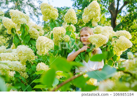 Cute teenage girl in flowering hydrangea bushes. 106985184