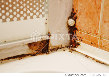 Mold at the joints in the shower.  106985185