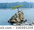 熊本縣天草市，一棵孤鬆的岩石 106985208