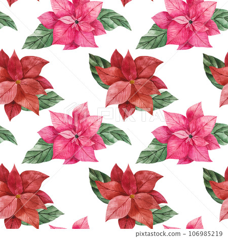 Watercolor seamless pattern of poinsettia flowers in red and pink with green vibrant leaves. Isolated clipart for Christmas design, prints, packaging, textiles. Festive flower for compositions 106985219