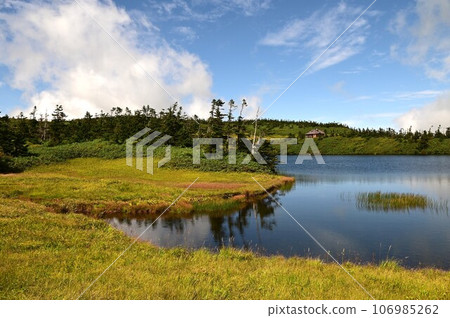 Plants of Hachimantai Plants of Hachimantai 106985262