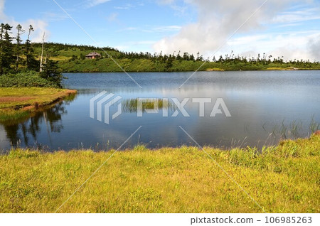 Plants of Hachimantai 106985263