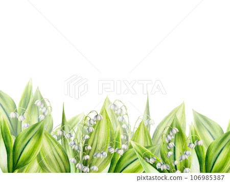 Watercolor set of bouquets of lilies of the valley flowers isolated on white background. Spring hand painted illustration. For designers, wedding, decoration, postcards, wrapping paper, scrapbooking, Watercolor set of bouquets of lilies of the valley flowers isolated on white background. Spring hand painted illustration. For designers, wedding, decoration, postcards, wrapping paper, scrapbooking, 106985387