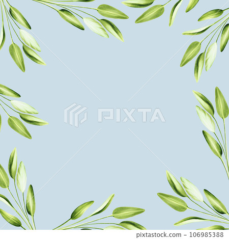 Watercolor frame with fresh sage isolated on background. Detail of beauty products and botany set, cosmetology and medicine. For designers, spa decoration, postcards, wrapping paper, scrapbooking, Watercolor frame with fresh sage isolated on background. Detail of beauty products and botany set, cosmetology and medicine. For designers, spa decoration, postcards, wrapping paper, scrapbooking, 106985388