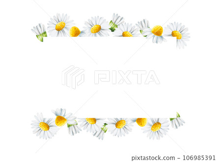 Watercolor white daisy flowers frame isolated. Chamomile. Beauty products and botany set, cosmetology and medicine. For designers, spa decoration, postcards, wrapping paper, scrapbooking, covers, 106985391