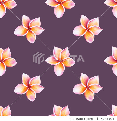 Watercolor seamless pattern with realistic tropical illustration of plumeria flowers with leaves isolated on white background. Beautiful botanical hand painted frangipani clip art. For designers, spa Watercolor seamless pattern with realistic tropical illustration of plumeria flowers with leaves isolated on white background. Beautiful botanical hand painted frangipani clip art. For designers, spa 106985393