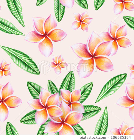 Watercolor seamless pattern with realistic tropical illustration of plumeria flowers with leaves isolated on white background. Beautiful botanical hand painted frangipani clip art. For designers, spa Watercolor seamless pattern with realistic tropical illustration of plumeria flowers with leaves isolated on white background. Beautiful botanical hand painted frangipani clip art. For designers, spa 106985394