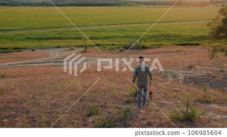 Young man with fluffy cocker spaniel dog walks along hill slope to green field at sunset time owner walks small red spaniel dog in rural park owner with spaniel dog in country park on summer weekend 106985604