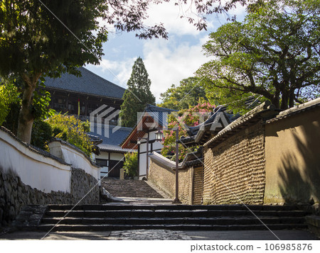 Early morning scenery of the back approach to Nigatsu-do Hall of Todaiji Temple 106985876