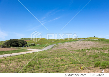 National Hitachi Seaside Park Miharashi no Oka 106986440