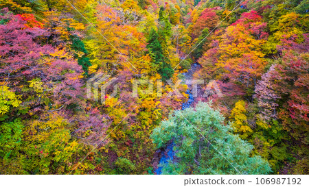 Sanzugawa Valley (autumn) Sanzugawa Valley (autumn) 106987192
