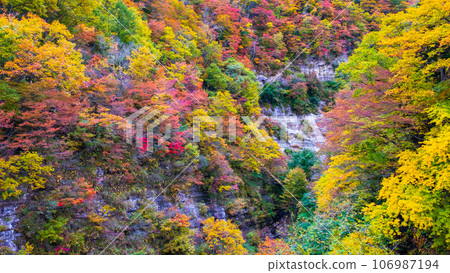 三津川溪谷(秋季) 三津川溪谷(秋季) 106987194
