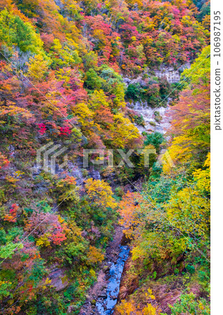 Sanzugawa Valley (autumn) Sanzugawa Valley (autumn) 106987195