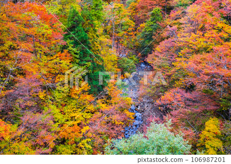 三津川溪谷(秋季) 三津川溪谷(秋季) 106987201