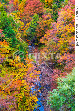 Sanzugawa Valley (autumn) 106987218