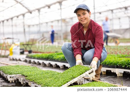 Young woman worker sitting down holding decorative moss in greenhouse 106987444