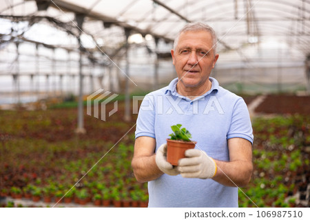 Adult man posing with pot of peppermint Adult man posing with pot of peppermint 106987510