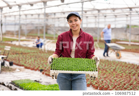 Young woman posing with planted peppermint Young woman posing with planted peppermint 106987512
