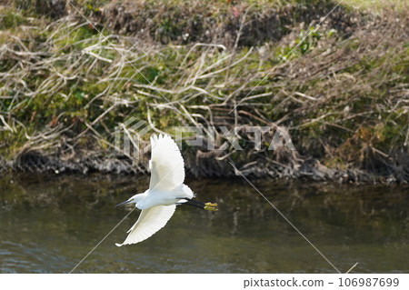 Heron 106987699