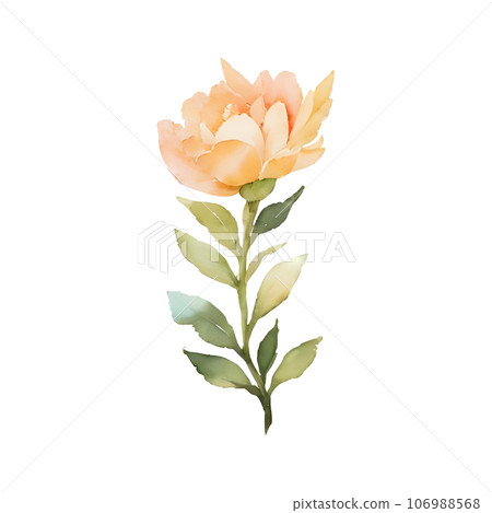 flower watercolor flower watercolor 106988568