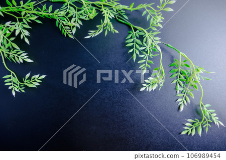 black background and leaf background material black background and leaf background material 106989454