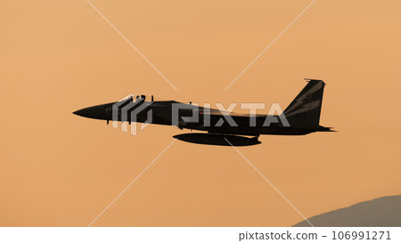 黃昏時的航空自衛隊F-15J鷹特種塗裝飛機 106991271