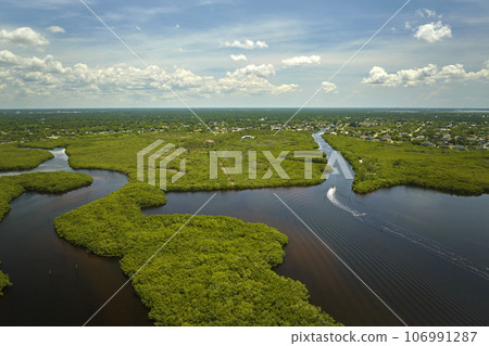 View from above of Florida everglades with green vegetation between ocean water inlets. Natural habitat of many tropical species in wetlands 106991287