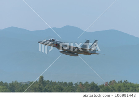 Air Self-Defense Force 303rd Squadron F-15J Eagle special livery aircraft 106991448
