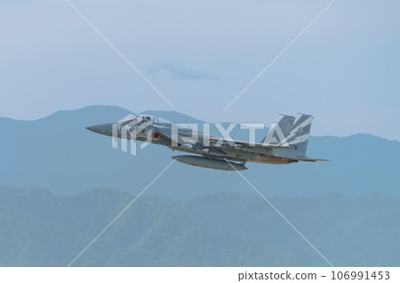 Air Self-Defense Force 303rd Squadron F-15J Eagle special livery aircraft Air Self-Defense Force 303rd Squadron F-15J Eagle special livery aircraft 106991453