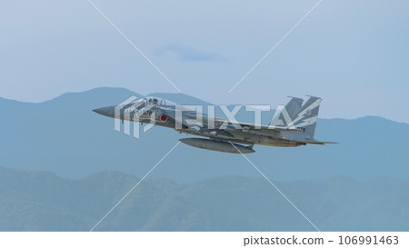 Air Self-Defense Force 303rd Squadron F-15J Eagle special livery aircraft Air Self-Defense Force 303rd Squadron F-15J Eagle special livery aircraft 106991463
