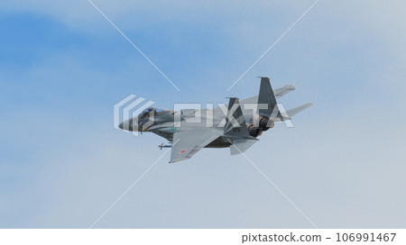 Air Self-Defense Force 303rd Squadron F-15J Eagle special paint aircraft above the clouds 106991467