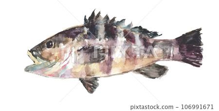 Illustration of Mahata painted in watercolor 106991671