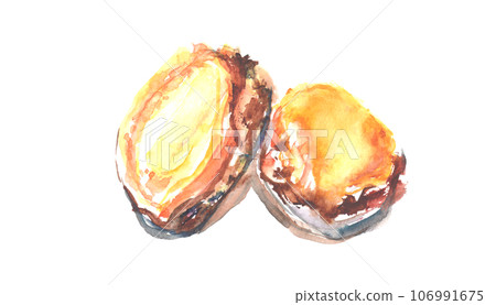 Illustration of boiled abalone drawn in watercolor Illustration of boiled abalone drawn in watercolor 106991675