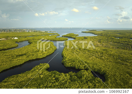 Overhead view of Everglades swamp with green vegetation between water inlets. Natural habitat of many tropical species in Florida wetlands 106992167