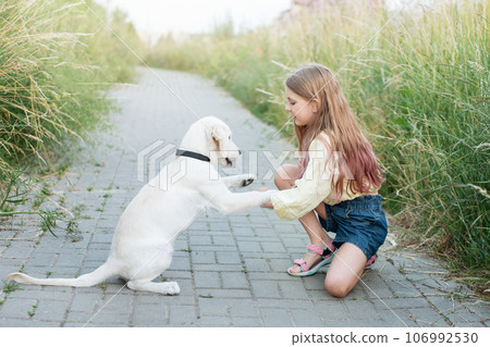 Puppy labrador retriever and little girl Puppy labrador retriever and little girl 106992530