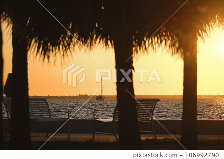 Dark palm trees on tropical beach against evening sky. Summer vacation concept Dark palm trees on tropical beach against evening sky. Summer vacation concept 106992790